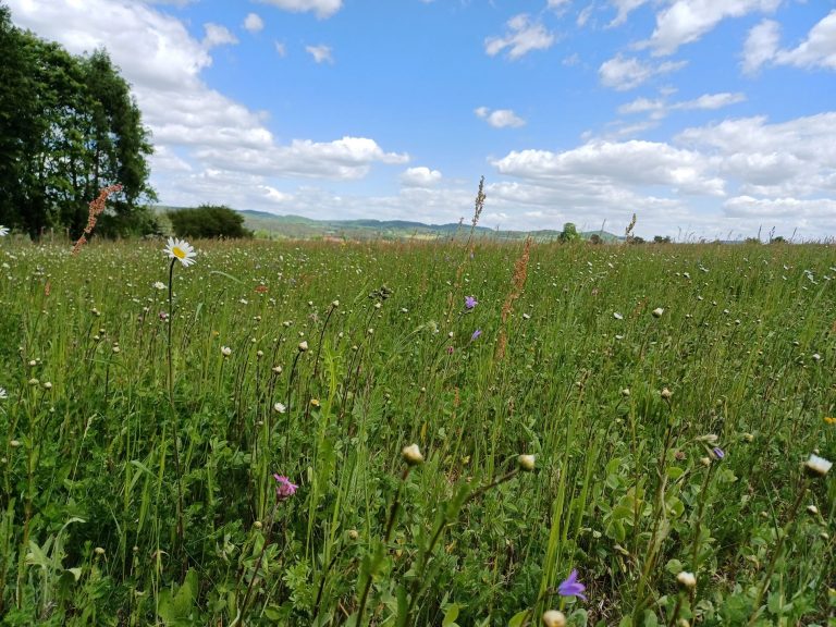 Ökokonto Stechendorf