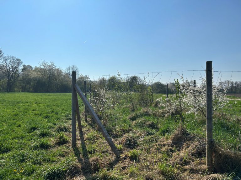 Bildergalerie