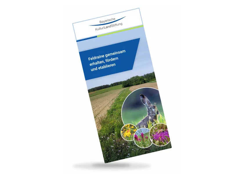 Bayerische KulturLandStiftung