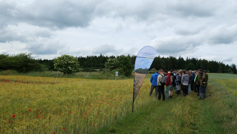 Bildergalerie
