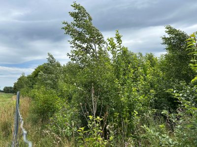 Bildergalerie