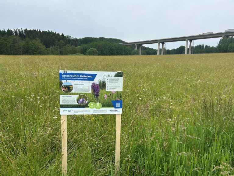 Bildergalerie