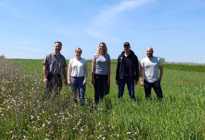 PiK auf wechselnden Flächen für den SuedLink zum Schutz der bedrohten Arten: Feldhamster und Feldlerche
