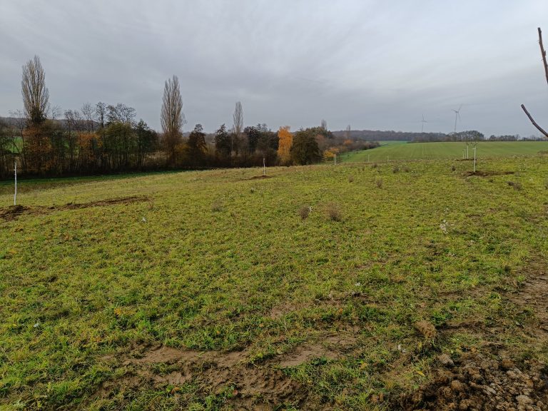 Ökokonto Schraudenbach