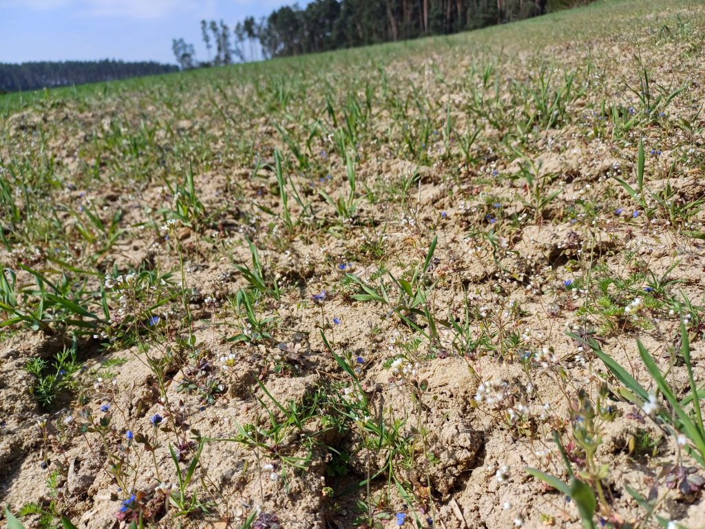 Bayerische KulturLandStiftung