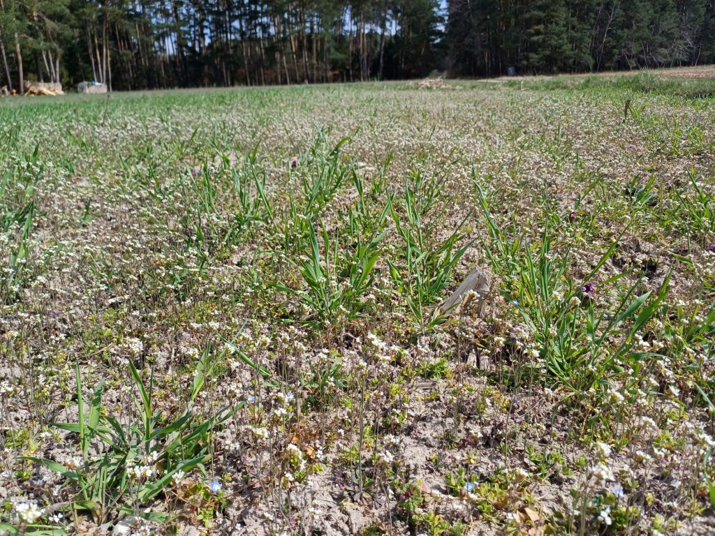 Bayerische KulturLandStiftung