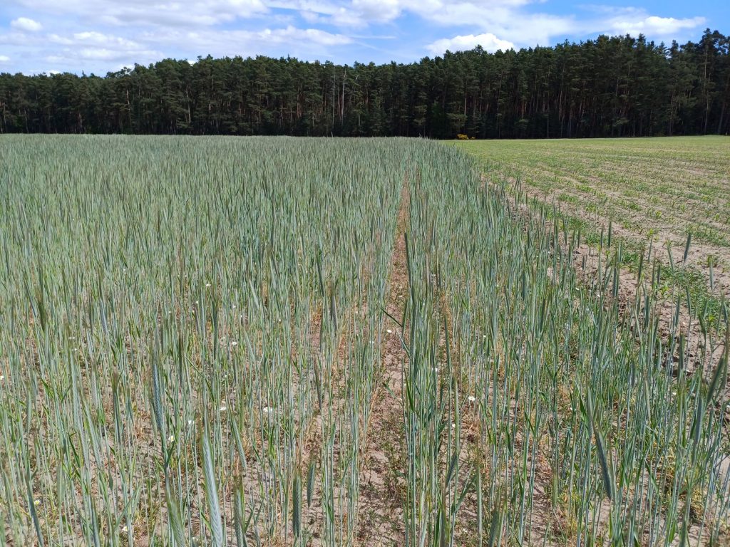 Bayerische KulturLandStiftung