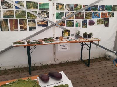 Bildergalerie