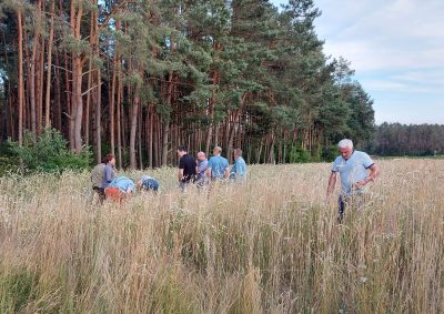 Veranstaltungen zum Thema Ackerwildkräuter im Juni 2026